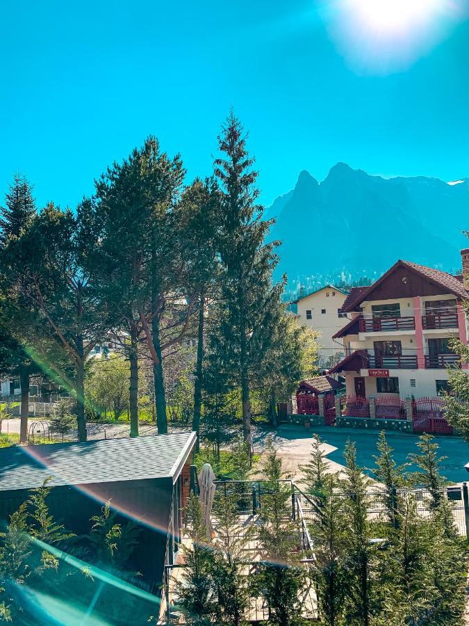 Moon Montana Buşteni Εξωτερικό φωτογραφία